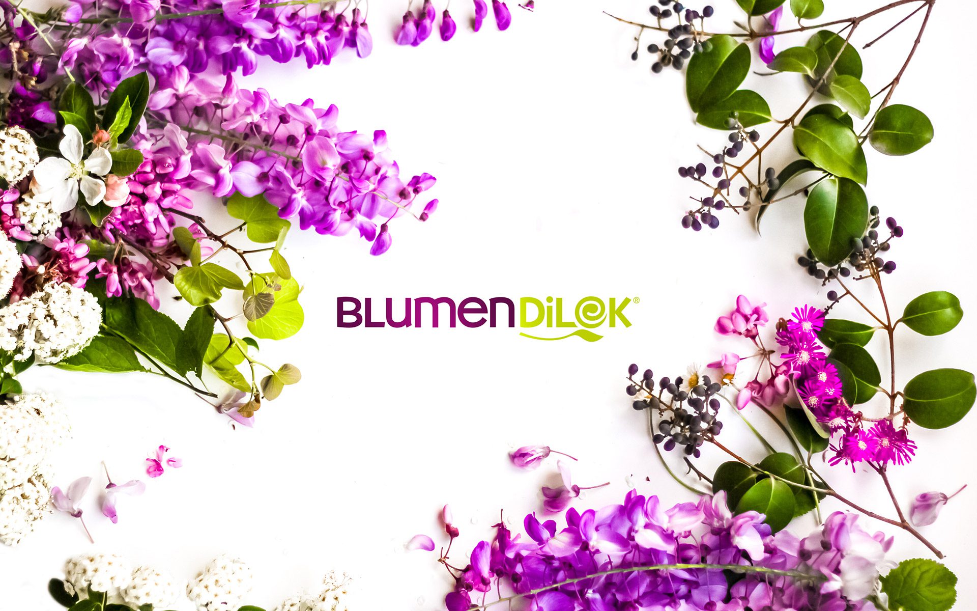 Blumendilek - Logo Design
